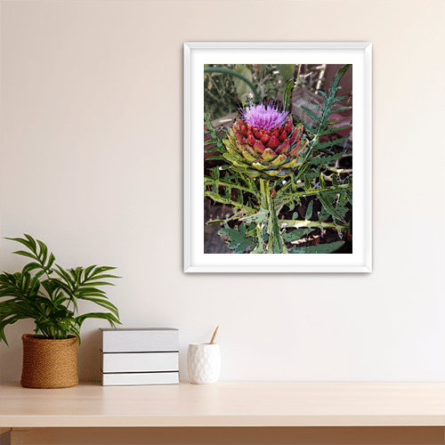 Artichoke Flower - Art Print - Metal Poster - Canvas Wrap - Premium Framed Art Print