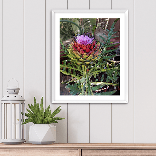 Artichoke - Art Print - Metal Poster - Canvas Wrap - Premium Framed Art Print