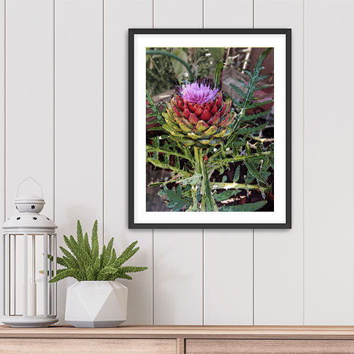 Artichoke - Art Print - Metal Poster - Canvas Wrap - Premium Framed Art Print