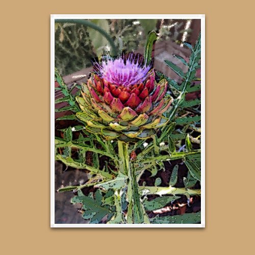 Greeting Card - Artichoke - Premium Greeting Card