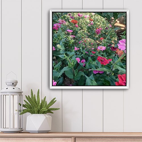 Whirl of the Zinnias - Art Print - Metal Poster - Canvas Wrap - Premium Framed Art Print