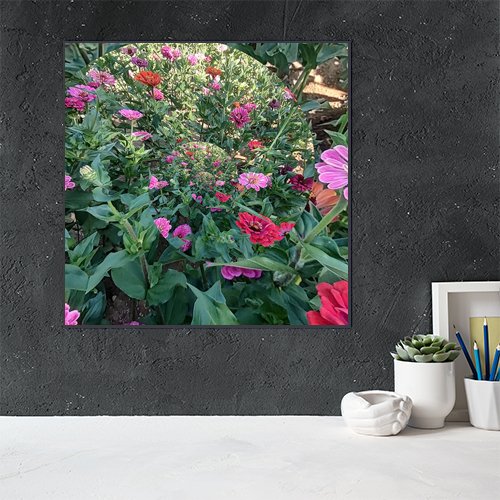 Whirl of the Zinnias - Art Print - Metal Poster - Canvas Wrap - Premium Framed Art Print